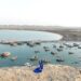 An aerial view of Chabahar harbor with numerous boats and a couple standing on a rock.